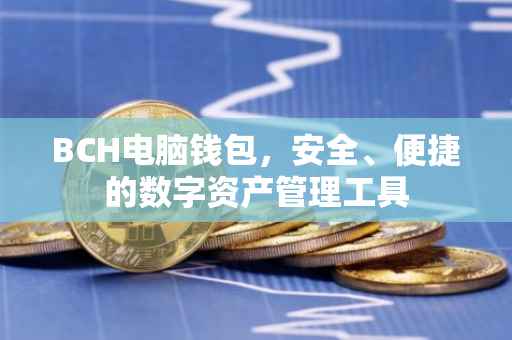 BCH电脑钱包，安全、便捷的数字资产管理工具