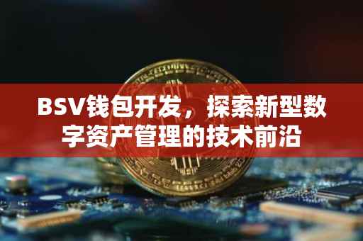 BSV钱包开发，探索新型数字资产管理的技术前沿