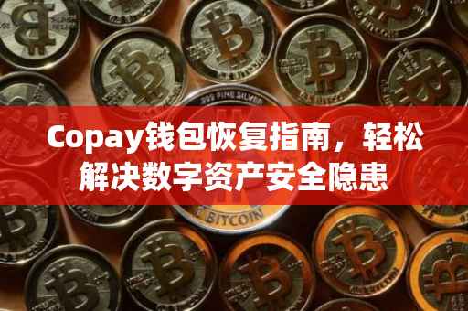 Copay钱包恢复指南，轻松解决数字资产安全隐患