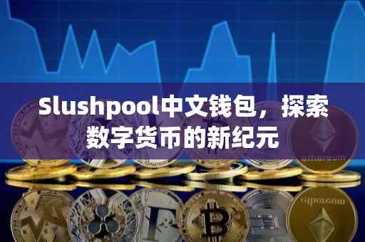 Slushpool中文钱包，探索数字货币的新纪元