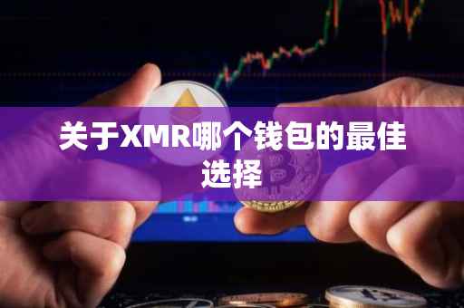关于XMR哪个钱包的最佳选择