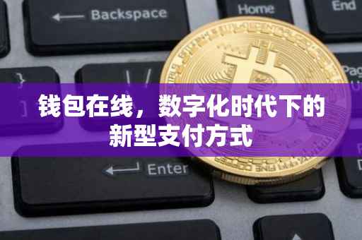 钱包在线，数字化时代下的新型支付方式