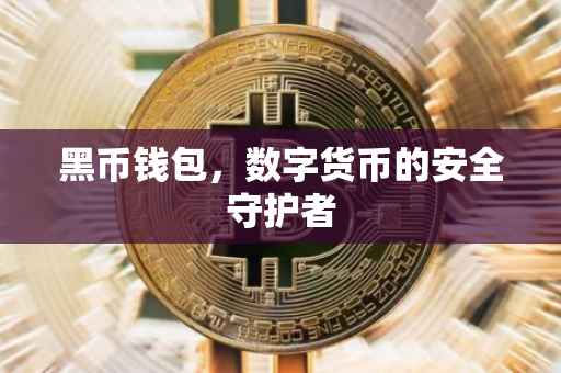 黑币钱包，数字货币的安全守护者