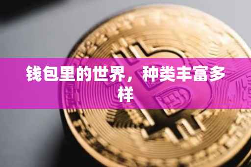 钱包里的世界，种类丰富多样