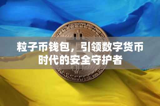 粒子币钱包，引领数字货币时代的安全守护者