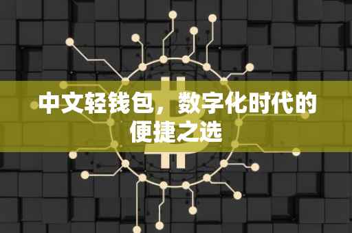 中文轻钱包，数字化时代的便捷之选