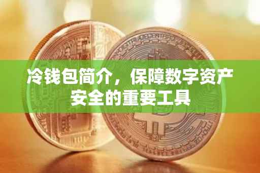 冷钱包简介，保障数字资产安全的重要工具