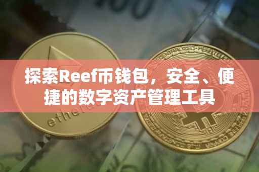 探索Reef币钱包，安全、便捷的数字资产管理工具