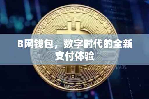 B网钱包，数字时代的全新支付体验