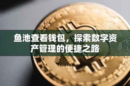 鱼池查看钱包，探索数字资产管理的便捷之路