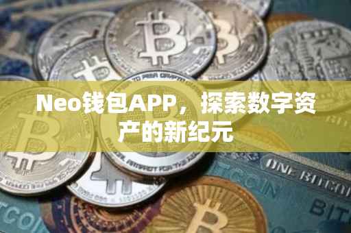 Neo钱包APP，探索数字资产的新纪元