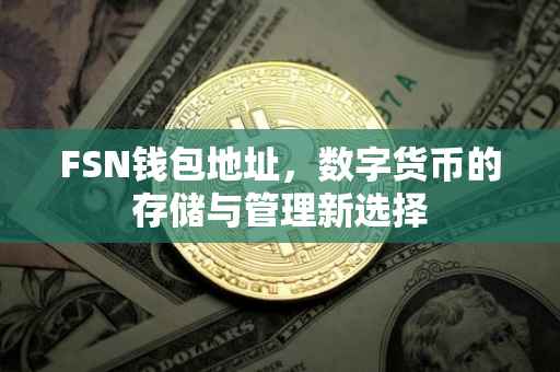 FSN钱包地址，数字货币的存储与管理新选择