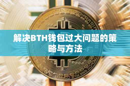 解决BTH钱包过大问题的策略与方法