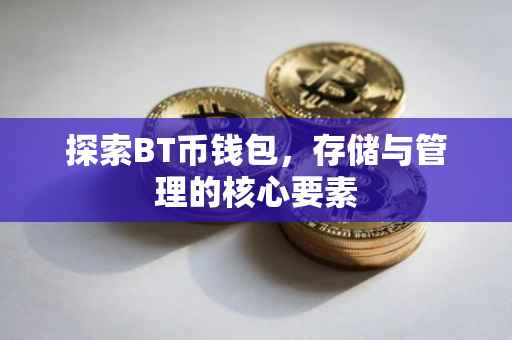 探索BT币钱包，存储与管理的核心要素