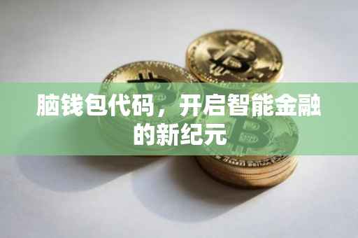 脑钱包代码，开启智能金融的新纪元