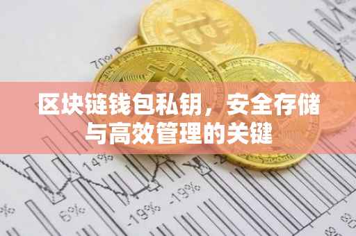 区块链钱包私钥，安全存储与高效管理的关键
