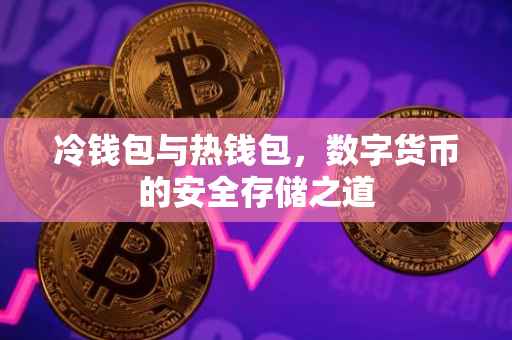 冷钱包与热钱包，数字货币的安全存储之道