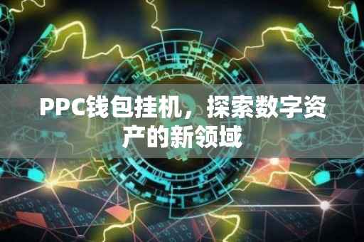 PPC钱包挂机，探索数字资产的新领域