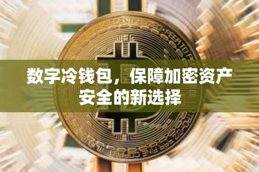 数字冷钱包，保障加密资产安全的新选择