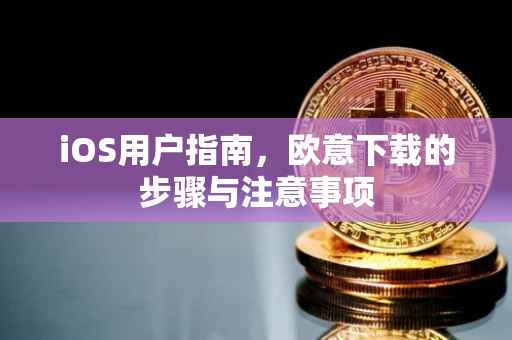 iOS用户指南，欧意下载的步骤与注意事项