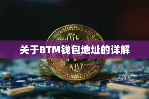 关于BTM钱包地址的详解