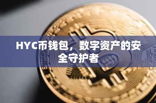HYC币钱包，数字资产的安全守护者