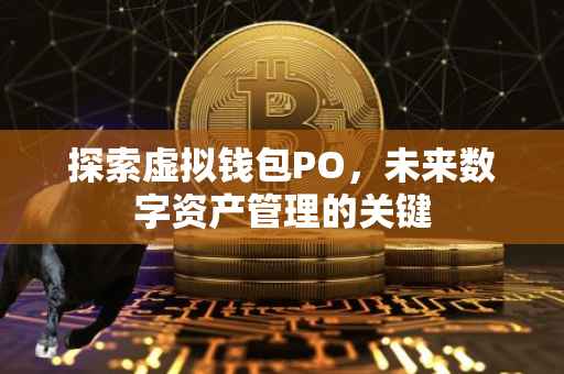 探索虚拟钱包PO，未来数字资产管理的关键