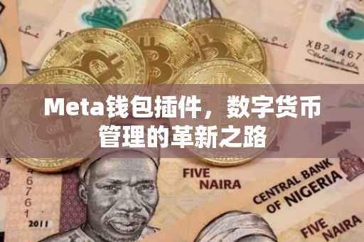 Meta钱包插件，数字货币管理的革新之路