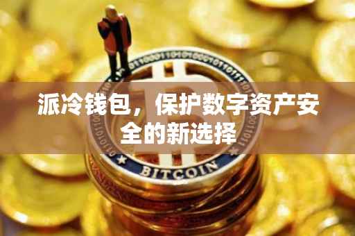 派冷钱包，保护数字资产安全的新选择