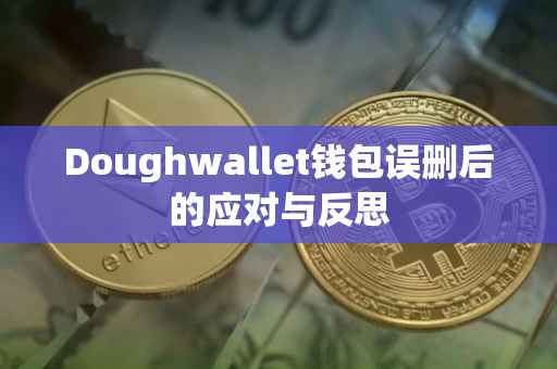 Doughwallet钱包误删后的应对与反思