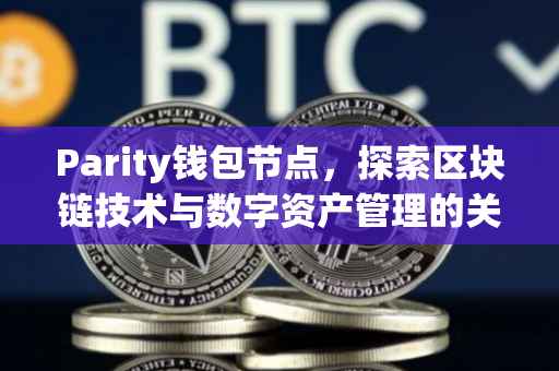 Parity钱包节点，探索区块链技术与数字资产管理的关键交汇点