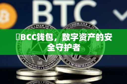 乥BCC钱包，数字资产的安全守护者