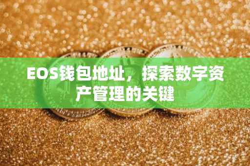 EOS钱包地址，探索数字资产管理的关键