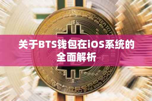 关于BTS钱包在iOS系统的全面解析