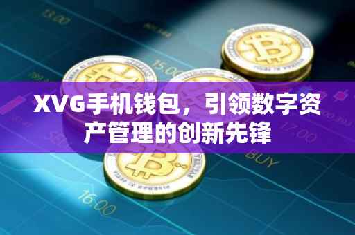 XVG手机钱包，引领数字资产管理的创新先锋