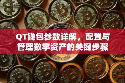 QT钱包参数详解，配置与管理数字资产的关键步骤