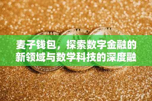 麦子钱包，探索数字金融的新领域与数学科技的深度融合