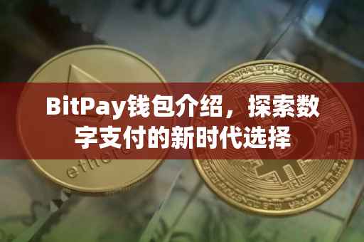 BitPay钱包介绍，探索数字支付的新时代选择