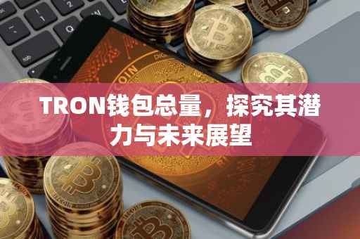 TRON钱包总量，探究其潜力与未来展望