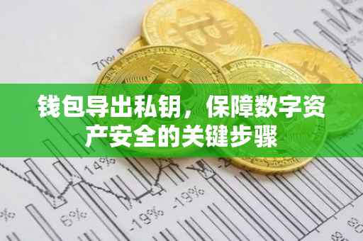 钱包导出私钥，保障数字资产安全的关键步骤