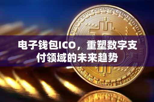 电子钱包ICO，重塑数字支付领域的未来趋势
