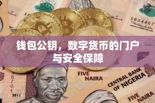 钱包公钥，数字货币的门户与安全保障