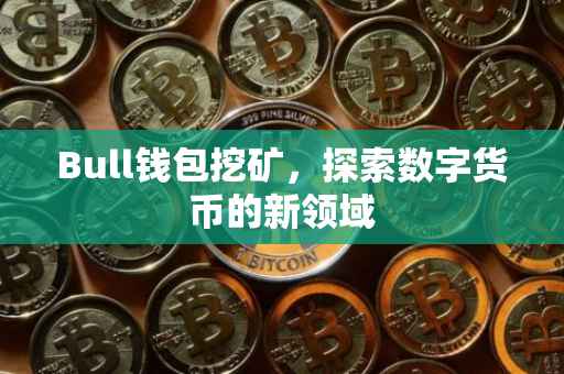 Bull钱包挖矿，探索数字货币的新领域