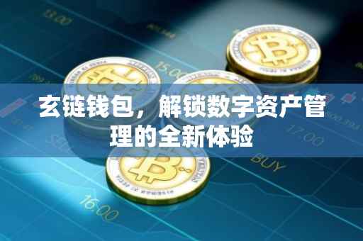 玄链钱包，解锁数字资产管理的全新体验