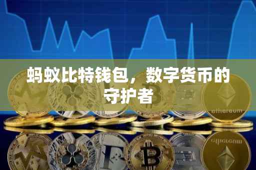 蚂蚁比特钱包，数字货币的守护者