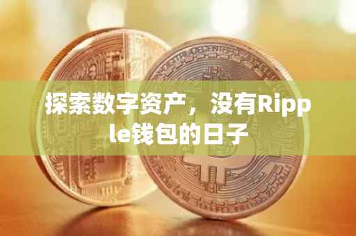 探索数字资产，没有Ripple钱包的日子