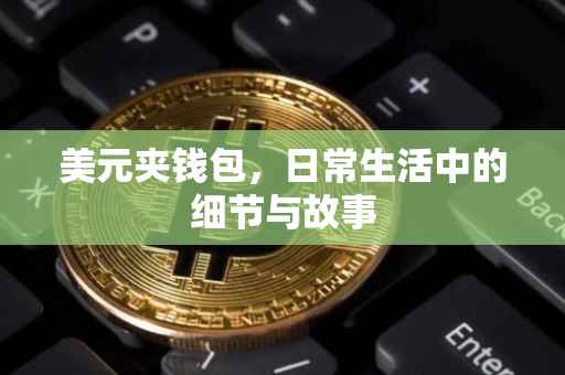美元夹钱包，日常生活中的细节与故事