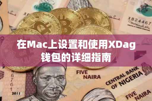 在Mac上设置和使用XDag钱包的详细指南