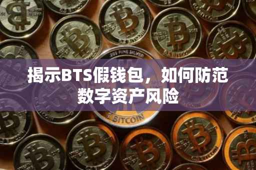 揭示BTS假钱包，如何防范数字资产风险