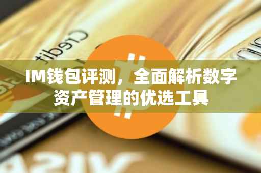 IM钱包评测，全面解析数字资产管理的优选工具